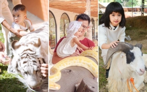 Rayyanza Cipung Dekati Harimau Alshad Ahmad, 7 Potret Anak Artis Main dengan Hewan Antimainstream