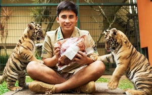 Alshad Ahmad Disalahkan Usai Akui 7 Harimaunya Mati, KLHK Siap Selidiki