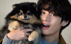Bukan Dirinya, V BTS Bongkar Sosok Yang Paling Ditakuti Yeontan Sang Anabul