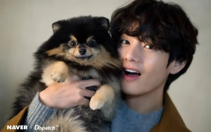Yeontan Terlibat Banyak, V BTS Bagi Profit ke Anak Bulu Pakai Cara Unik