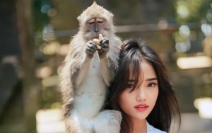 Fuji An Cantik Bak Putri Bali Saat 'Adu Catwalk' Bareng Kera, Momen Di Balik Layar Kocak Abis