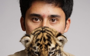 Kematian Anak Harimau Alshad Ahmad