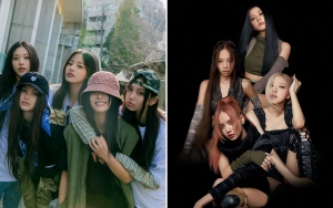 NewJeans & BLACKPINK Senasib Tinggal di Dorm Penuh Kecoak Jadi Perbincangan