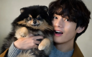 V BTS Nyesek Kabarkan Yeontan Anjing Kesayangannya Meninggal Dunia