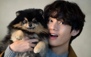 Kenangan Yeontan di Album V BTS sebelum Meninggal Bikin Menangis