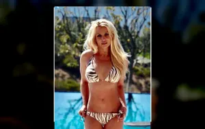 Britney Spears Akui Bersalah Mengemudi Sambil Mabuk di California