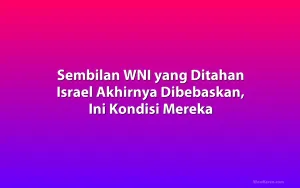 Sembilan WNI yang Ditahan Israel Akhirnya Dibebaskan, Ini Kondisi Mereka