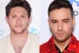 Niall Horan Kenang Momen Bahagia Bersama Liam Payne Sebelum Kepergiannya