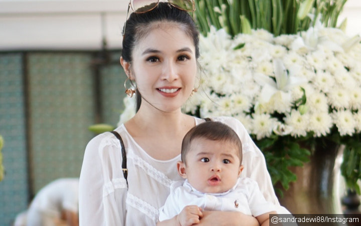 Baru Empat Bulan, Lucunya Putra Sandra Dewi Bisa Sebut Kata 'Mama'