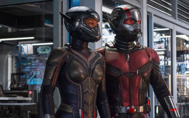 Nyambung ke 'Infinity War', Post-Credit Scene 'Ant-Man and the Wasp' Ungkap Fakta Ini 