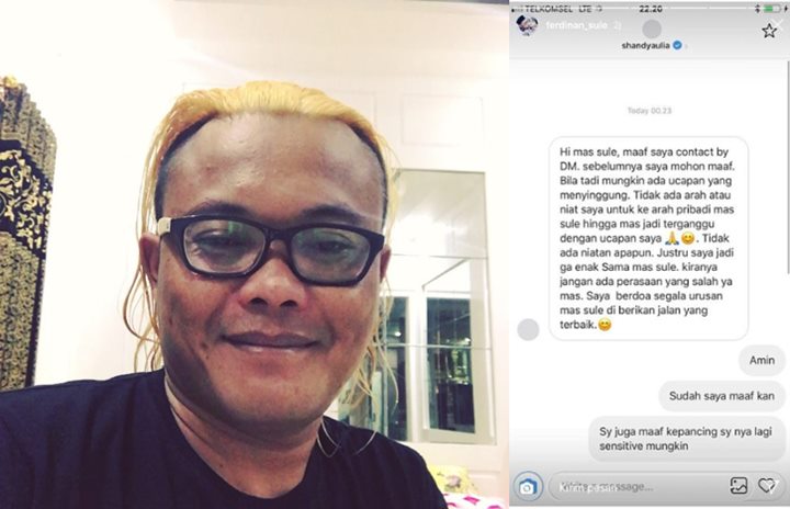 Chat Shandy Aulia ke Sule