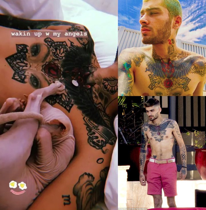 Tato mata Gigi di dada Zayn