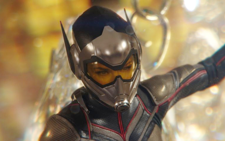 Sutradara 'Ant-Man' Ingin Garap 'Female Avengers', The Wasp Ditunjuk Jadi Pemimpin