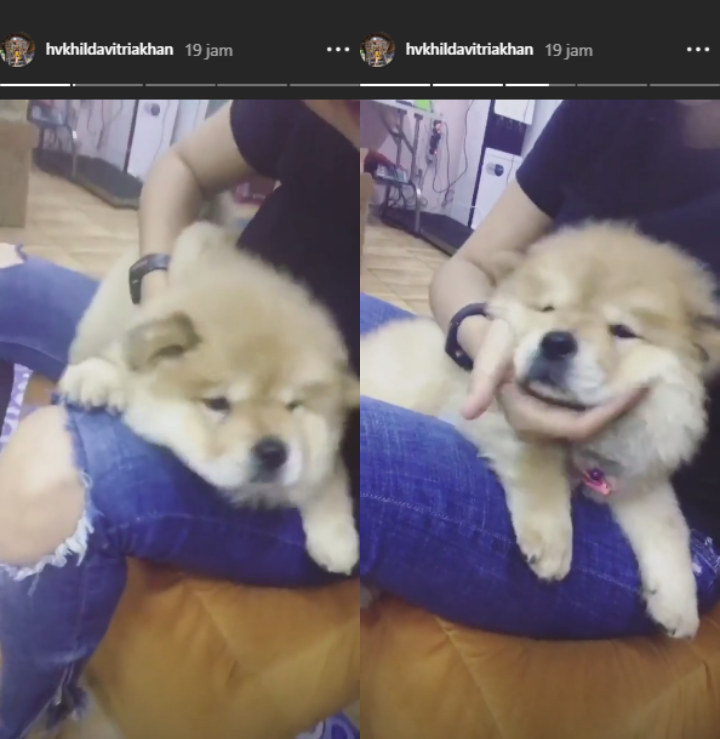 Kriss Hatta dan Hilda Vitria Kompak Video Bareng Anjing
