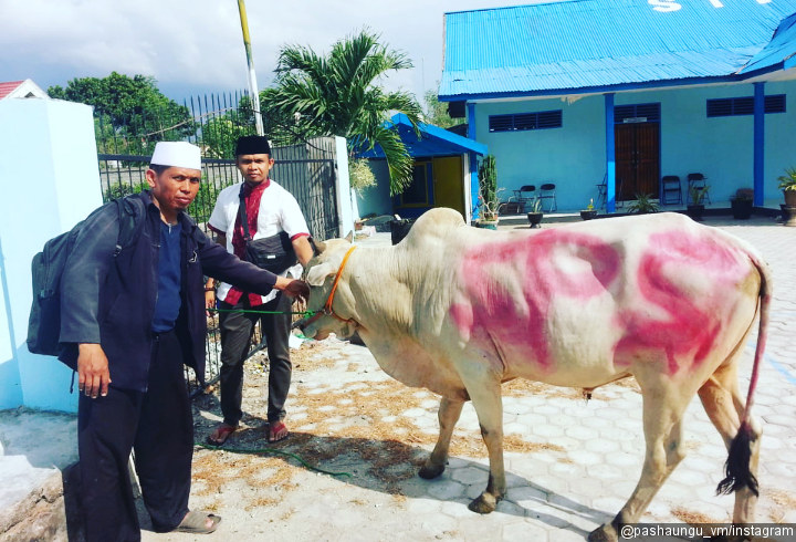 Mengabdi Untuk Rakyat dengan Menyembelih Kurban Sapi di Hari Raya Idul Adha