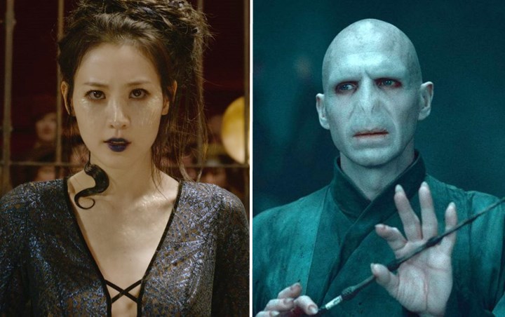 Teori Penggemar, Nagini Diduga Sebagai Ibu dari Voldemort