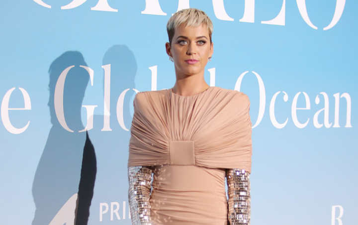 Fokus Berbisnis, Katy Perry Ingin Hiatus dari Dunia Musik