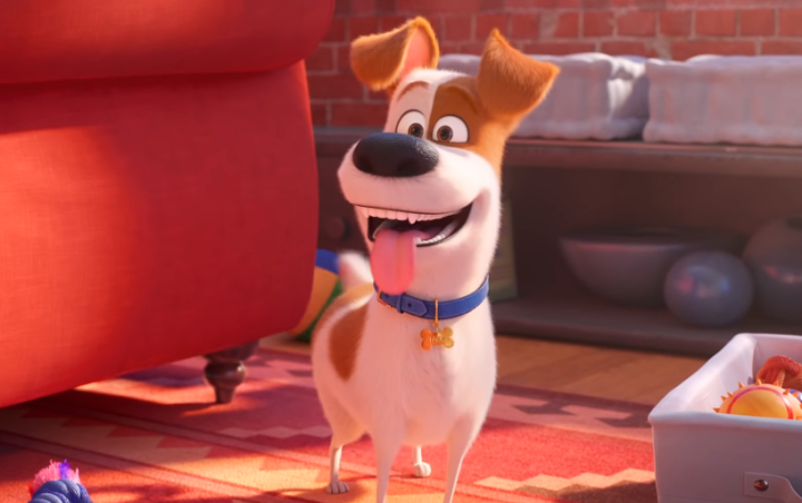Rilis Trailer Perdana, 'The Secret Life Of Pets 2' Tampilkan Max Si Anjing Cerdas