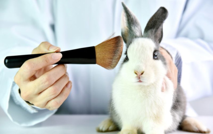 Tinggalkan Animal Testing, Selamatkan Hewan dengan Menggunakan Produk Kosmetik Cruelty Free