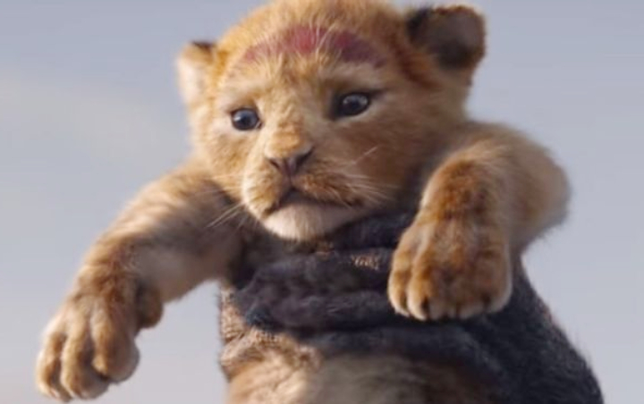 Disney Diminta Berhenti Pakai Slogan 'Hakuna Matata' di 'Lion King', 45 Ribu Orang Ajukan Petisi