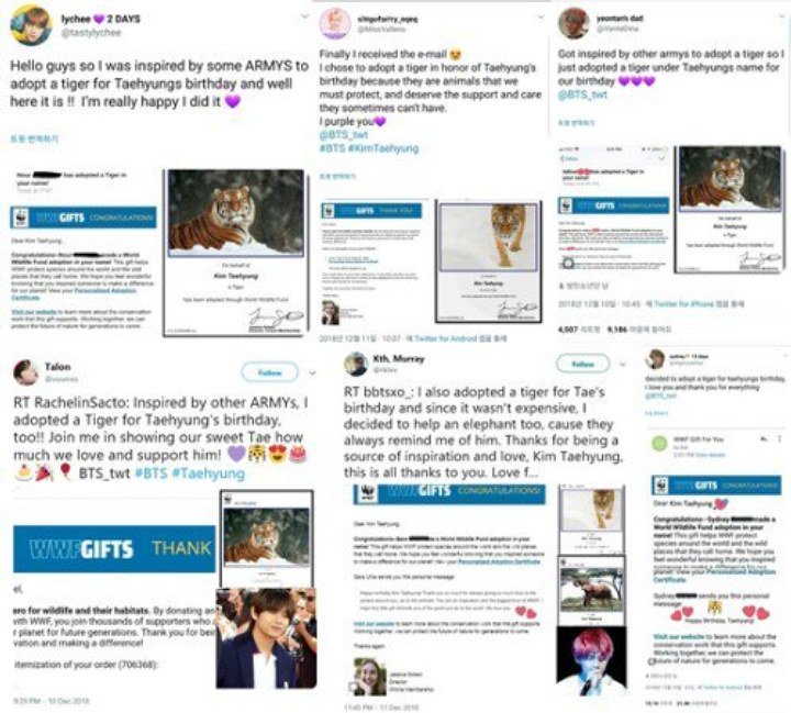 Jelang Ulang Tahun V BTS, Penggemar Rayakan Dengan ‘Adopsi’ Harimau