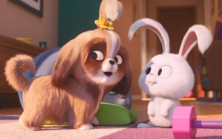 Tak Hanya Max Hingga Snowball, 'The Secret Life Of Pets 2' Juga Tampilkan Karakter Baru