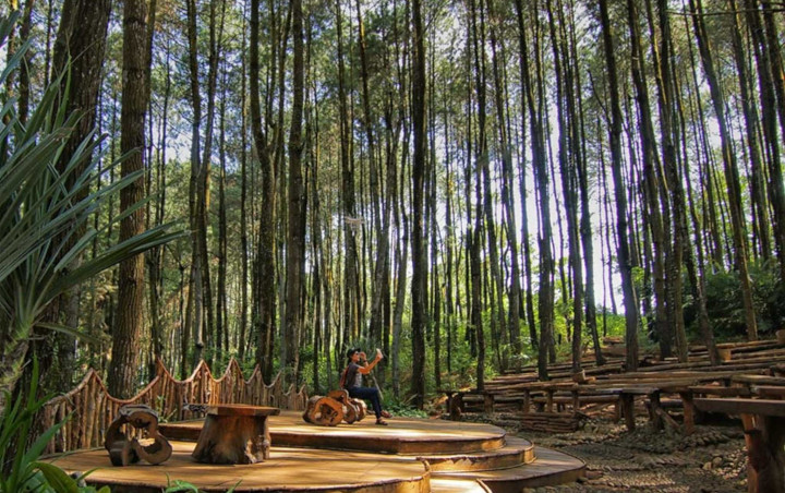 Tak Hanya di Mangunan, Ini 7 Wisata Hutan Pinus Kekinian yang Ada di Indonesia
