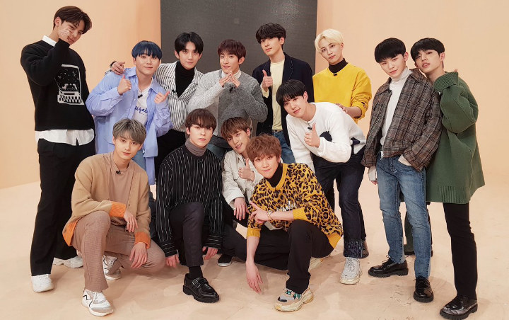 Fans Sering Bolos Sekolah Hingga Habiskan Rp 150 Juta Demi Seventeen, Netter Syok Berat