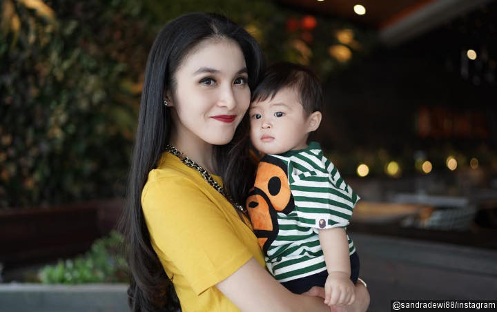 Putra Sandra Dewi Akui 'Punya' Pacar Usai Berhasil Ucapkan Kata Ini
