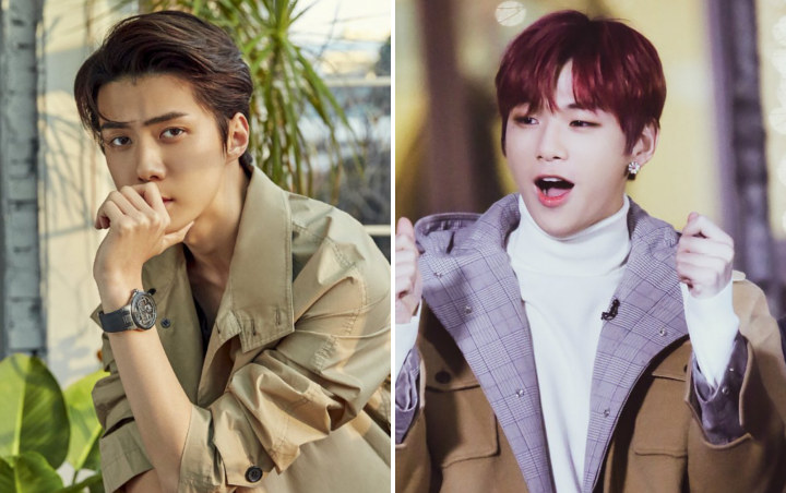 Kocaknya Respon Sehun EXO dan Kang Daniel Diserang Lebah di 'Coffee Friends'