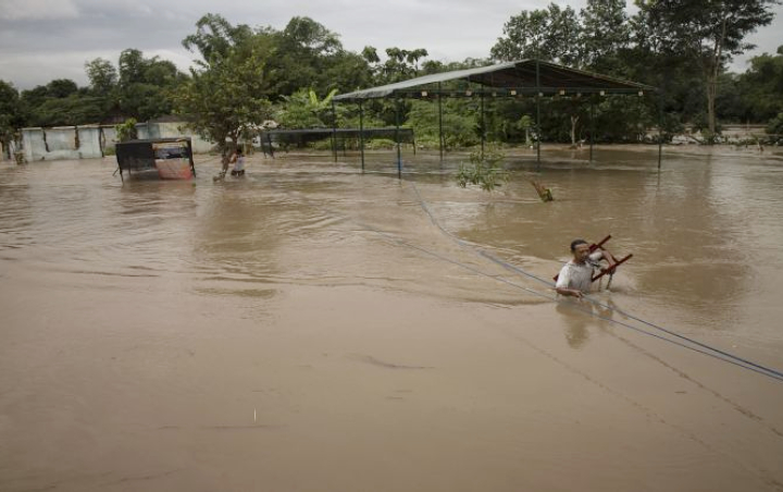 1.594 Hektare Sawah Terendam, BPBD Bojonegoro Taksir Kerugian Banjir Bengawan Solo Capai Rp 1 Miliar
