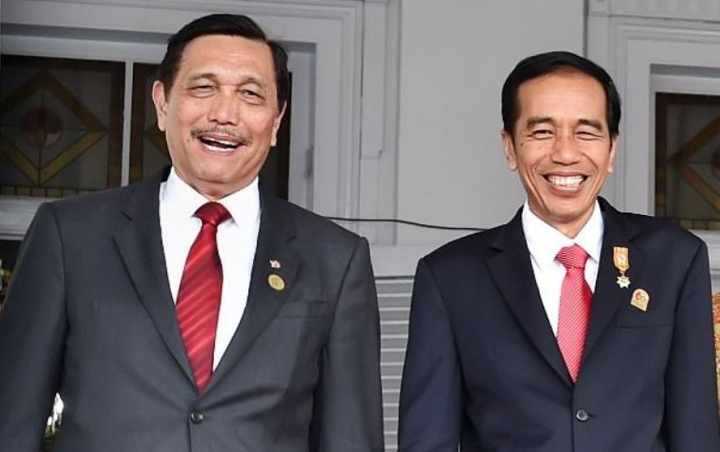 Luhut Nilai Jokowi Terlalu Sabar Hadapi Hoaks: Kasian Presiden Dicaci Maki, Coba Dia Orang Batak