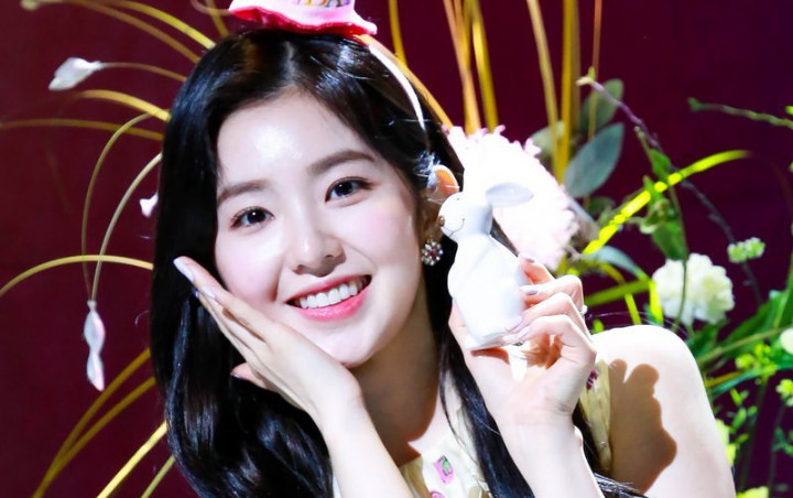Cantiknya Kebangetan, Irene Red Velvet Dibilang Mirip Putri Konglomerat