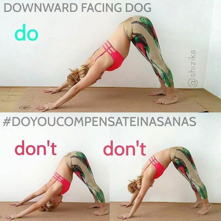 Gerakan Yoga Downward Facing Dog Pose