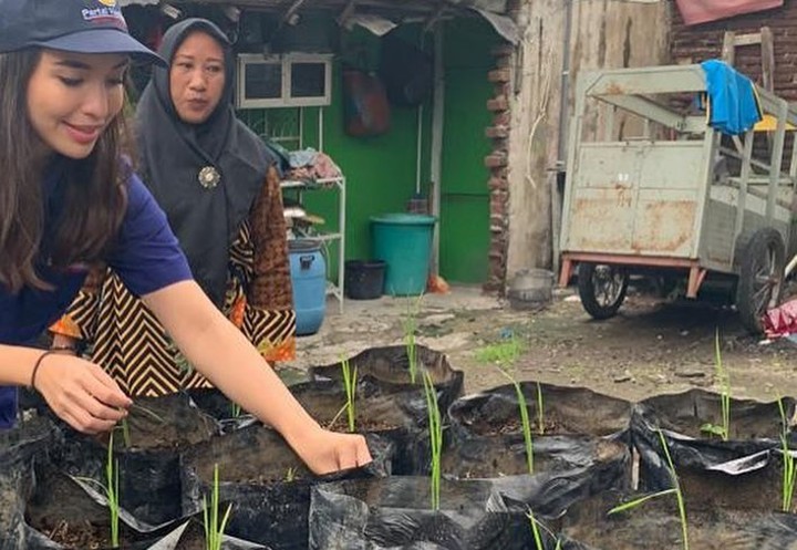Manohara Pinot Menanam Bibit Saat Kampanye di Surabaya