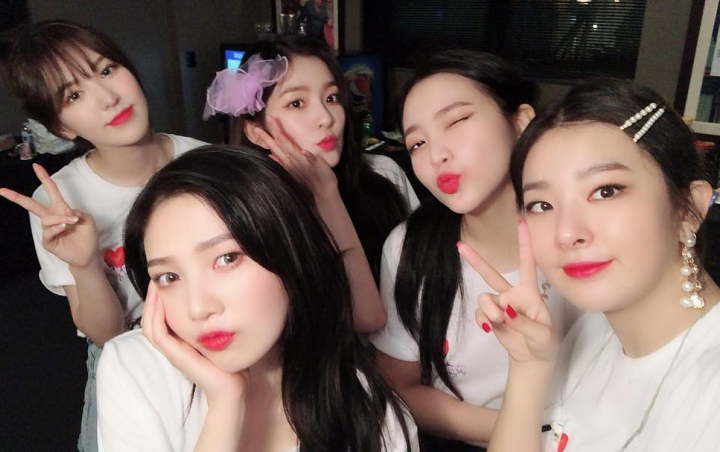 Red Velvet Siap Meriahkan Musim Panas Dengan Rilis 'Power Up' Versi Jepang