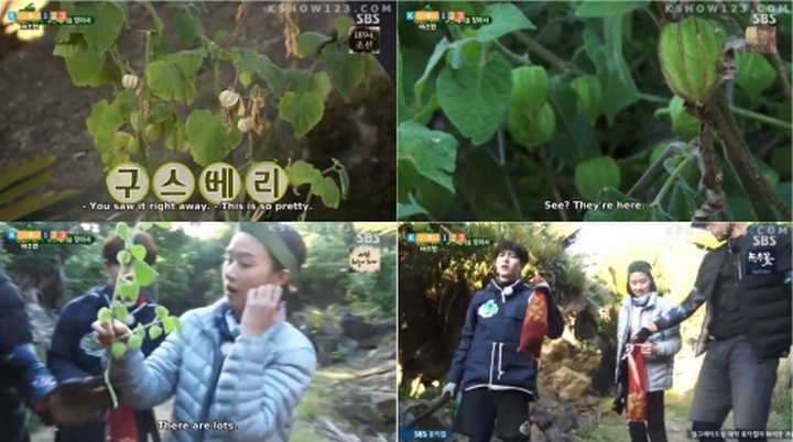 Bintang Tamu \'Laws of the Jungle\' Heboh Temukan Buah Ciplukan di Selandia Baru