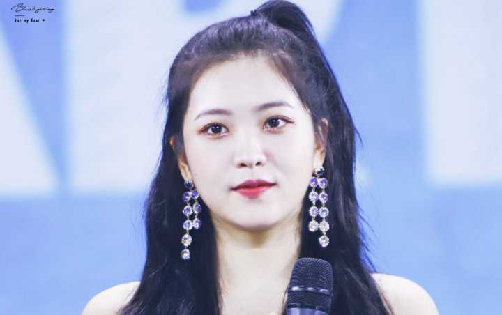 Yeri Red Velvet Ucapkan Terima Kasih, Fans Indonesia Bangga Slogan dan Cake Di-Notice