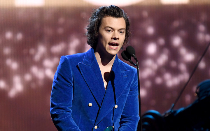 Harry Styles Pakai 'Gaun' Transparan di Met Gala 2019, Malah Diejek Seperti Gay