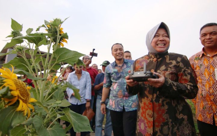 Tri Rismaharini Bangga Surabaya Punya 400 Taman, Optimis Suhu Kota Bisa Turun Hingga 22 Derajat