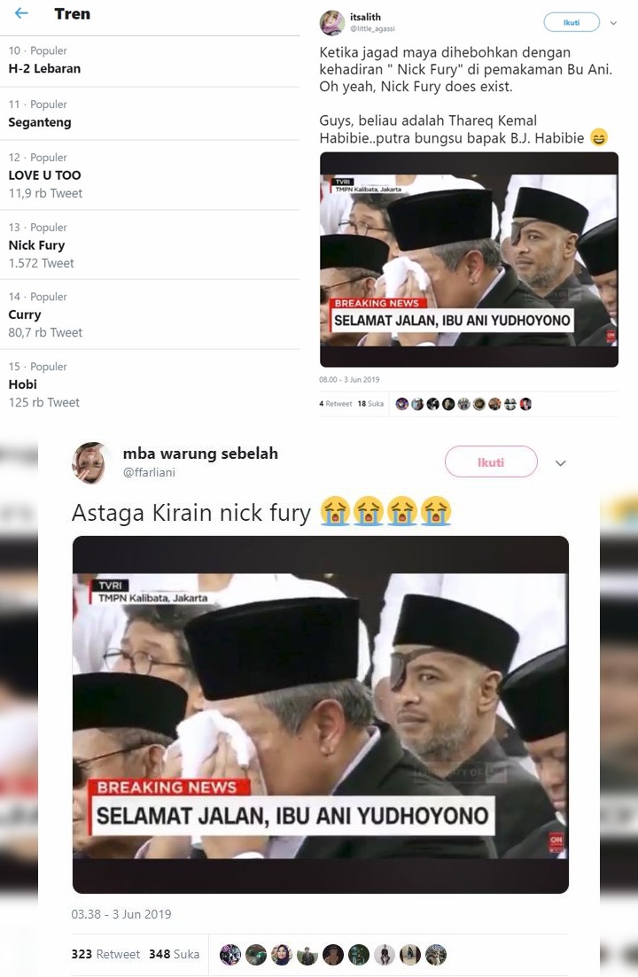 Thareq Kemal Habibie