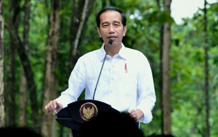 Diduga Tersandung Korupsi, Pengamat Politik Prediksi Jokowi Copot 3 Menteri