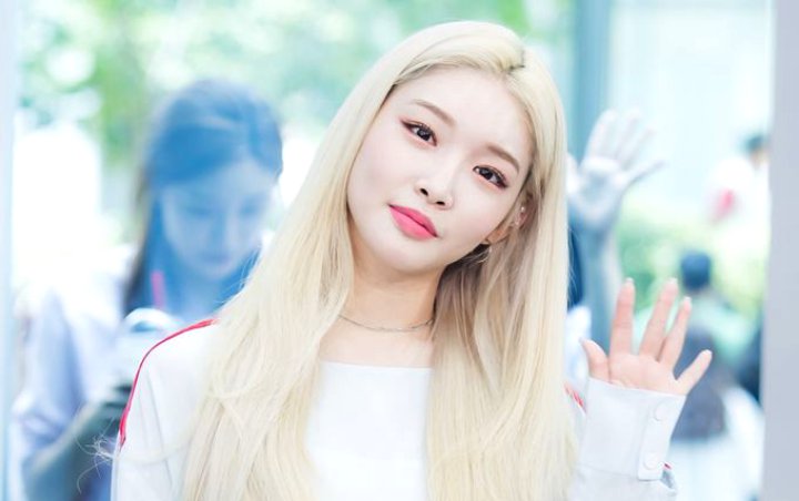 Kim Chung Ha Ungkap Alasan Mau Gabung Reuni IOI Meski Sudah Terkenal Jadi Solois