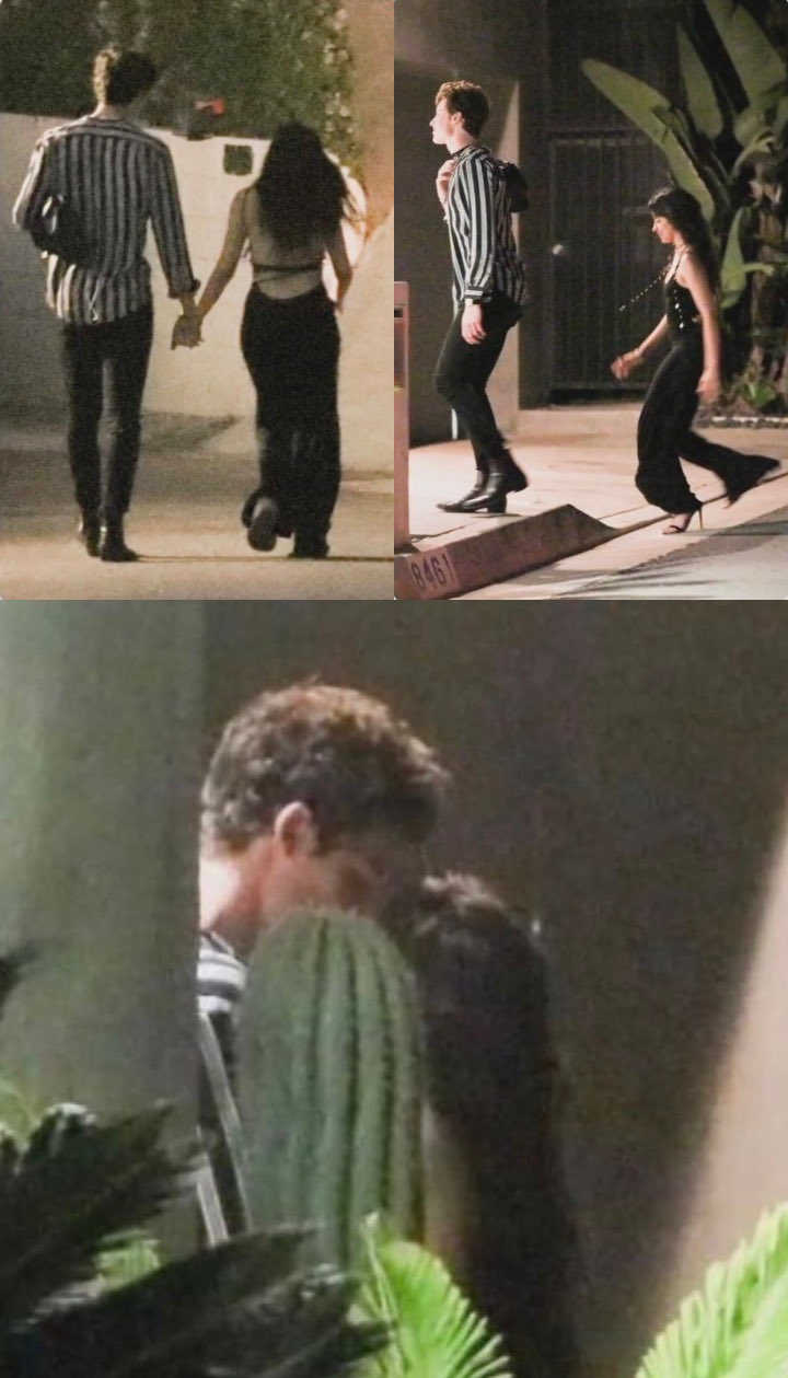 Foto Mesra Shawn Mendes dan Camila Cabello Beredar, Rumor Kencan Makin Menguat