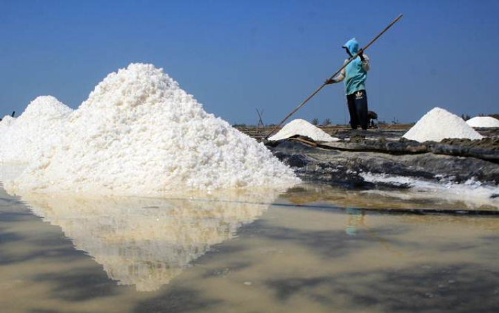 Petani Harap Gubernur Jatim Khofifah Mampu Yakinkan Jokowi Setop Impor Garam