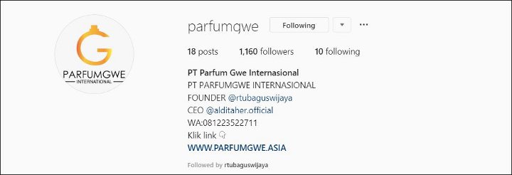 Profil Aldi Taher Sebagai CEO