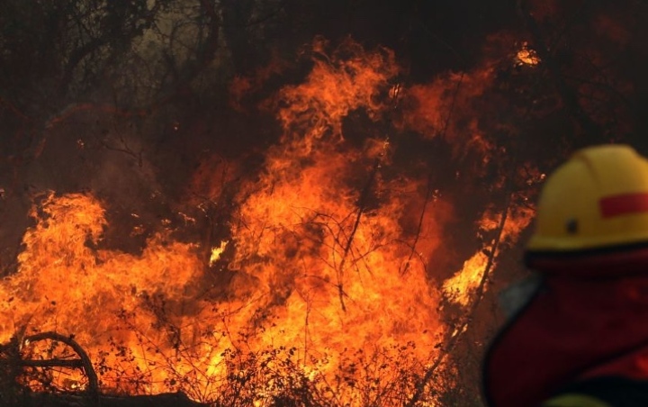 Brazil Kerahkan Militer Atasi Kebakaran Amazon Usai Tolak Bantuan Dunia