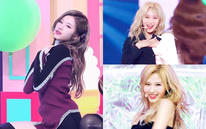 Keseksian Jennie BLACKPINK dan Sana Twice Diadu Tuai Respon Seperti Ini 2