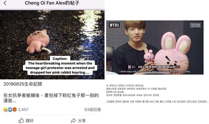 Foto Memilukan Ini Jadi Viral, Penggemar BTS Diduga Ikut Tertangkap Saat Demo Hong Kong