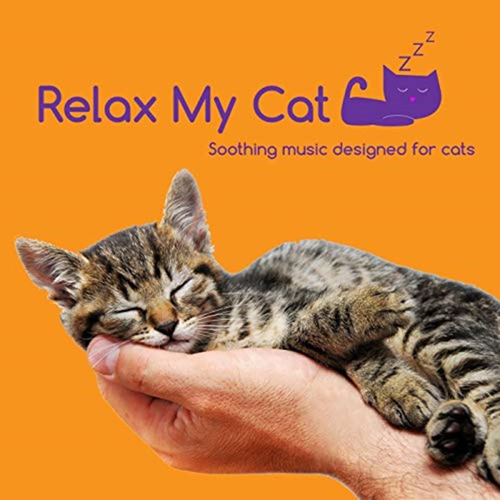 Relax My Cat Aplikasi Musik Khusus Untuk Hewan Kesayangan Kalian